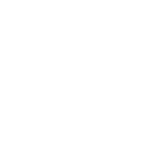 Analyse des typologies de projets et de leurs cycles de vie.