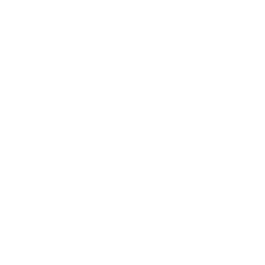 Audit de l'organisation et des moyens