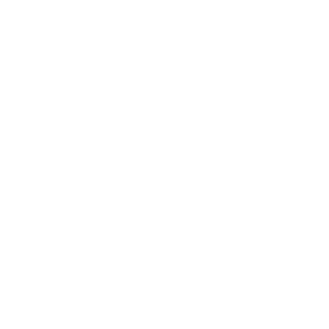 Définition et modélisation des processus PPM (état actuel et cible).
