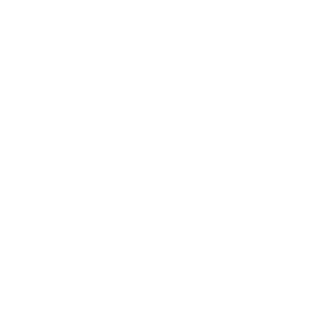 Développement de solutions IA & Machine Learning