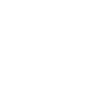 Optimisation des interfaces avec les métiers.
